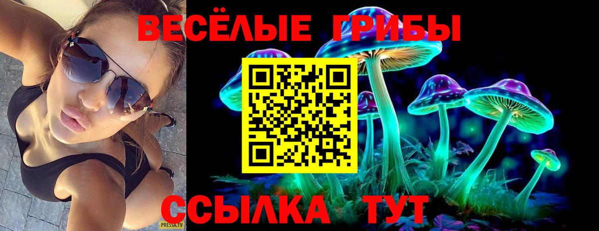 Галлюциногенные грибы Psilocybe Бузулук