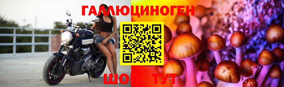 Галлюциногенные грибы мицелий  Галлюциногенные грибы Psilocybe  Бузулук  Вход с VPN 